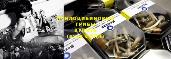 гидропоника Кукмор