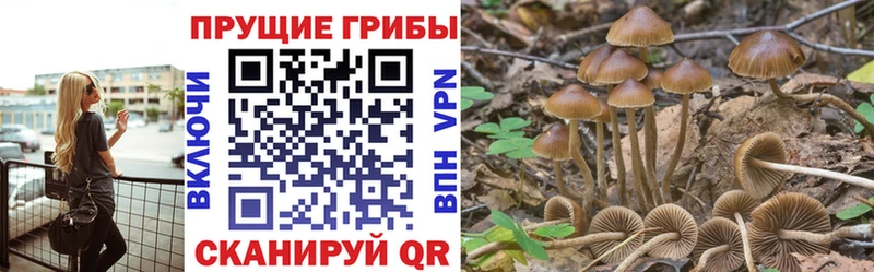 Галлюциногенные грибы мухоморы  Лесозаводск 